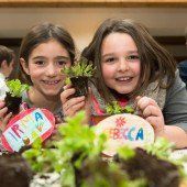In vielen Schulen im Land wird gesät und geerntet