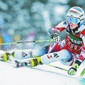 Das WM-Aus ist verarbeitet