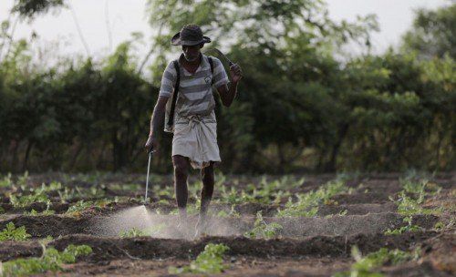 Noch ungeklärt ist, ob Düngemittel oder Pestizide die Nieren der Menschen in Sri Lanka schädigen. Foto: AP
