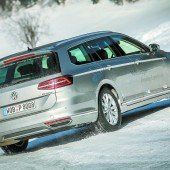 Soignierter Wegbegleiter, talentierter Wintermeister