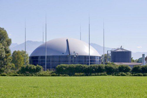 In der Biogasanlage in Lustenau wird nicht nur Biogas produziert. Die Wärme wird auch in das Harder Nahwärmenetz eingespeist. Handout