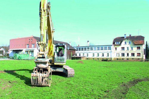 Der Baustart für das neue Wohnprojekt in Hard ist für Frühjahr geplant.