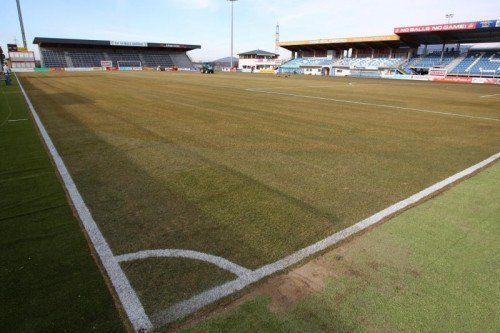 Der neue Rasen im Grödiger Bundesliga-Stadion. Foto: gepa