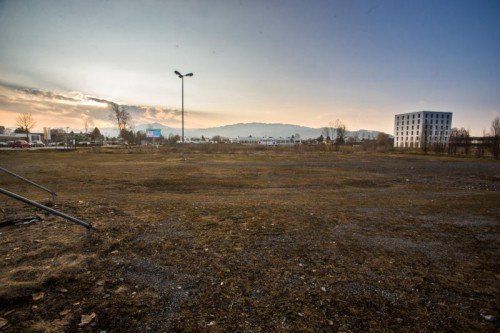 Derzeit noch eine Gstätten, aber das Objekt der Begierde: Gewerbegrund in Lustenau. Foto: VN/Steurer