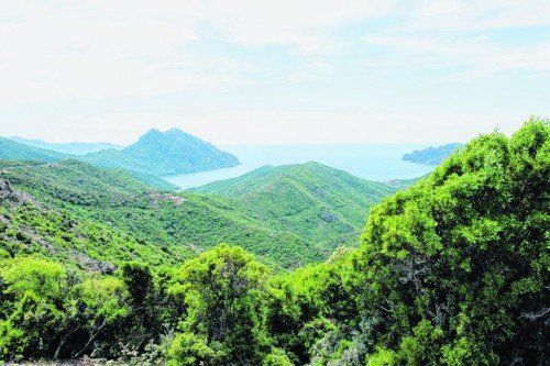 Die Straße von Calvi bis nach Porto schlängelt sich entlang der Küste und bietet tolle Blicke auf die Berge und das Meer.
