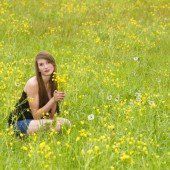 Blumen, auf die Bienen fliegen
