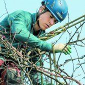 Frühjahrskur für traditionsreiche Obstwiese