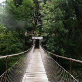 Wanderweg wird bis Ende März fertig