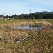 Sorge um ein Naturjuwel