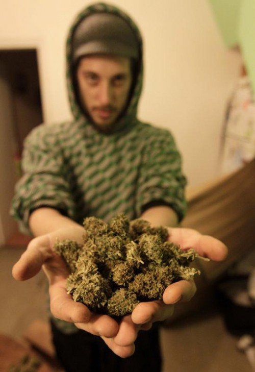 Marihuana für den Eigenbedarf ist in Washington erlaubt. RTS