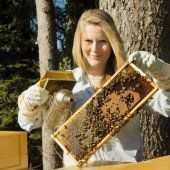 Grüne und FPÖ fordern Engagement für Bienen