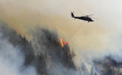 Bereits 75 Hektar Wald stehen in Flammen. Vier Hubschrauber und 150 Feuerwehrleute sind im Löscheinsatz.  Foto: APA