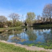 Müll auf der Wiese, Algen im Weiher