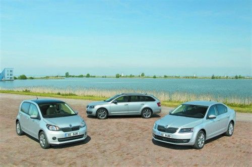 Der VW-Konzern ist beim Thema Erdgas breit aufgestellt. Alleine Skoda hat drei Modelle am Start. Fotos: werk