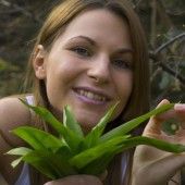 Erntezeit im Wald und auf der Wiese