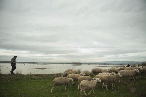 Foto: AP