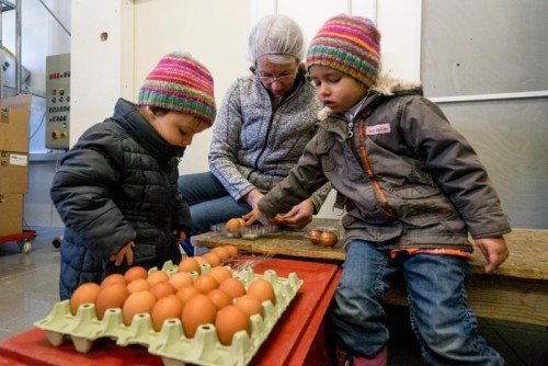 Früh übt sich: Luise und Magdalena Martin helfen mit Begeisterung auf dem elterlichen Hof mit.