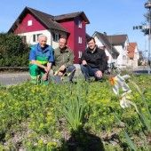 „Nur ein bisschen jäten“