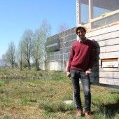 Ein eigenes Bienen-Biotop auf dem Firmengelände