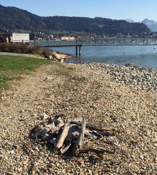 Grillen sorgt nicht bei jedermann für Begeisterung.  Foto: Privat