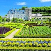 Traumhafte Gärten im Schloss von Villandry