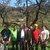 Baumpflege beim Sunnahof in Rankweil