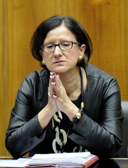 Ministerin Mikl-Leitner brachte ihre Novelle durch. FOTO: APA