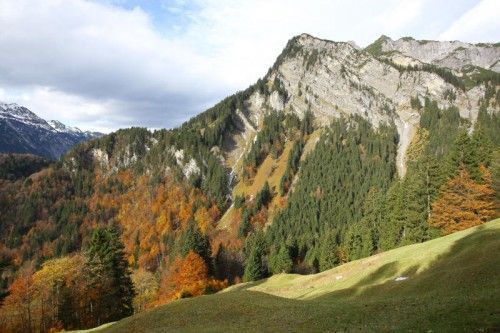 „Wer bewirtschaftet denn die Natura 2000?“, fragt Georg Fink. VN/HB