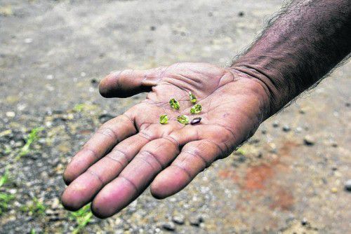 Auch auf der Straße werden die glänzenden Schmuckstücke feilgeboten, doch bei diesen Einkäufen ist Vorsicht geboten.