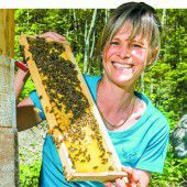 Große Freude über die Erholung der Bienen
