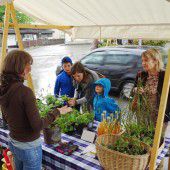 Gartenmarkt mit Tauschbörse in Hohenems