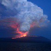 Vulkan spuckt Lava auf Galapagos-Inseln