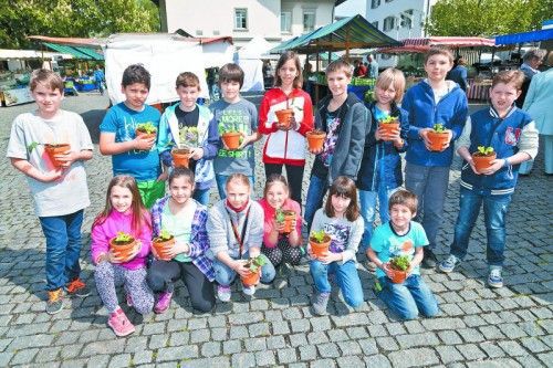 Die Schüler durften die Gemüsesetzlinge selber eintopfen. Foto: OGV/Mathis.