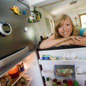 Bis zu 120 Euro für den veralteten Kühlschrank