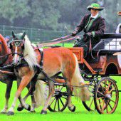 Größtes Ponyevent im Vierländereck