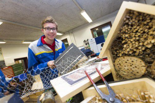Lehrlinge bauen Bienenhotels ÖBB-Lehrwerkstätte