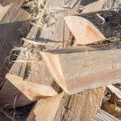 Streit um das richtige Brennholz