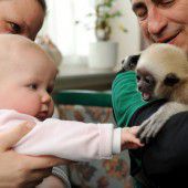 Freundschaft unter Babys