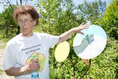 Elisabeth Vögel erklärt die Struktur des Harder Bienenpfades. Für die kleinen Hautflügler ist es ein Paradies. Foto: Shourot