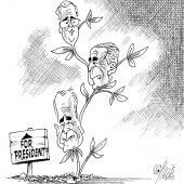 Der Dritte im Bush!
