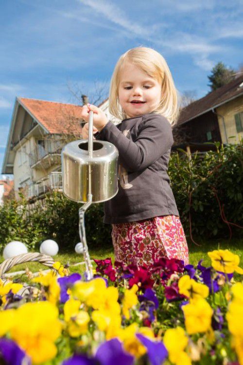 Früh übt sich: Die kleine Filippa ist mit ihren knapp drei Jahren bereits ein großer Gartenfan. Foto: VN/Steurer