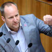 Neos wollen über Neuwahlen abstimmen