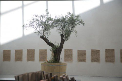 Vorarlberg Museum Ausstellung neue Ausstellung von Mariella Scherling Elia
