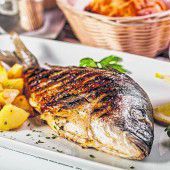Fischgericht mit viel Fantasie
