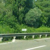 Fahrbahn der Schweizer A1 platzt auf