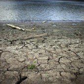 Karibische Inseln leiden unter schlimmer Dürre
