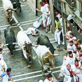 Auch heuer werden wieder Stiere durch Pamplona gehetzt