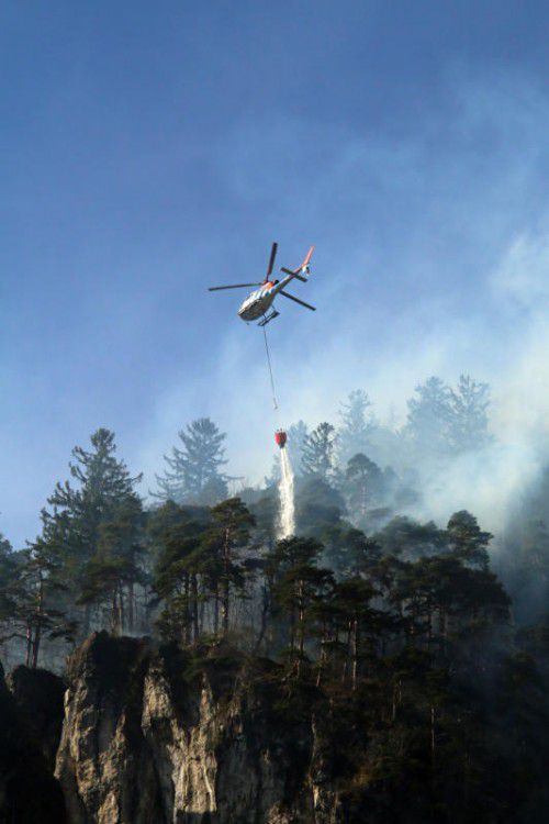 Im April dieses Jahres waren die Feuerwehren bei einem Waldbrand in Nüziders im Einsatz.