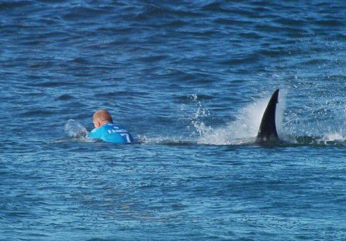 Surfer Mick Fanning hat den Angriff des Haies in Südafrika unverletzt überstanden.
