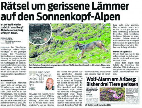 VN-Bericht vom 28. Juli 2015.